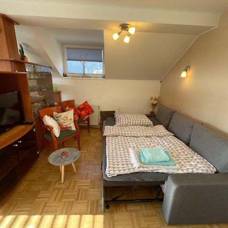 Apartment Kranj - Huge Terrace, Free P, Wi - Fi, Ac Eksteriør billede