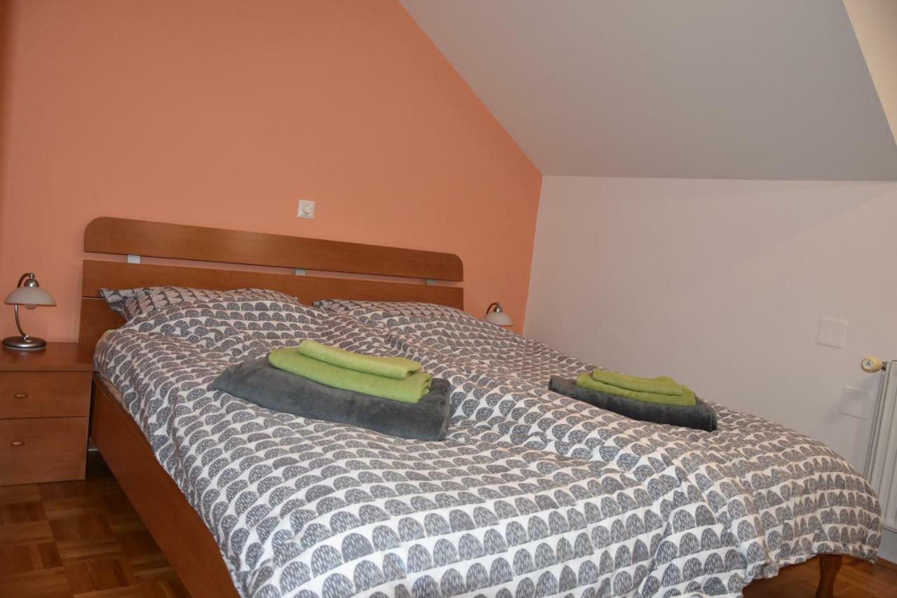 Apartment Kranj - Huge Terrace, Free P, Wi - Fi, Ac Eksteriør billede